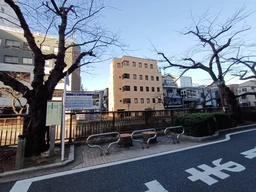 桜並木の目黒川沿い角地　春には窓から桜が望めます◎外観