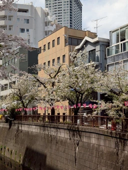 桜並木の目黒川沿い角地　春には窓から桜が望めます◎外観