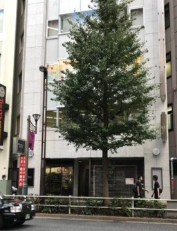 新宿西口駅 徒歩2分！！事務所仕様物件！！！お気軽にお問い合わせください！！外観