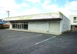 ■近鉄八尾駅 徒歩13分 ロードサイド 前テナント:ドラッグストア 【業種相談】外観