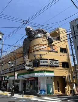 三軒茶屋駅徒歩7分 ゴリラの外観 1階路面店[11305]外観