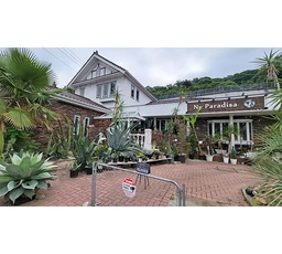 【内見可能】松田国府津線沿い・大井松田インター至近!おしゃれな南欧風戸建て1-2階の店舗95坪!外観