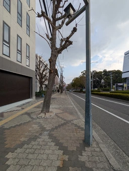 JR神戸・地下鉄大倉山｜楠公さん横テナントビル