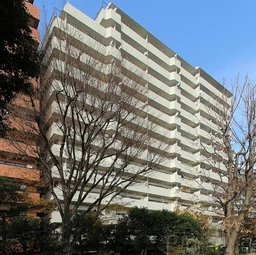 初台駅 徒歩2分 現況:事務所仕様 【飲食不可】玉川上水沿い