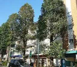 たまプラーザ駅 徒歩3分 2F スケルトン物件 【重飲食可】