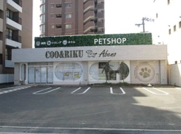 西田辺駅 徒歩6分 1F 現況:物販 その他居抜きなど物件 【業種相談】外観