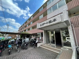 井荻駅 徒歩12分 1F スケルトン物件 【飲食不可】