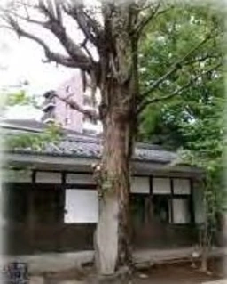 千駄木駅 徒歩11分 1F 現況:その他 その他居抜きなど物件 【和食専門店限定】外観